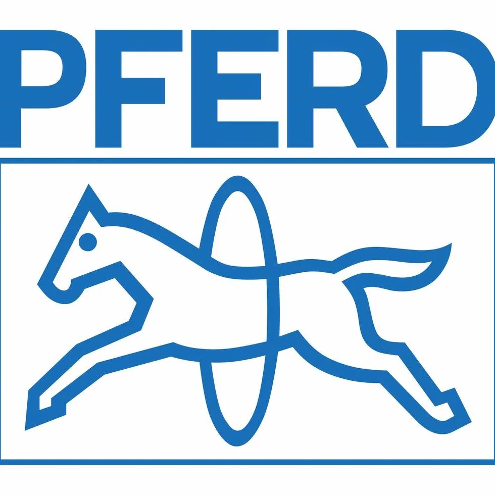 Pferd 22900823 82 Z3 Jeu de fraises en acier rapide